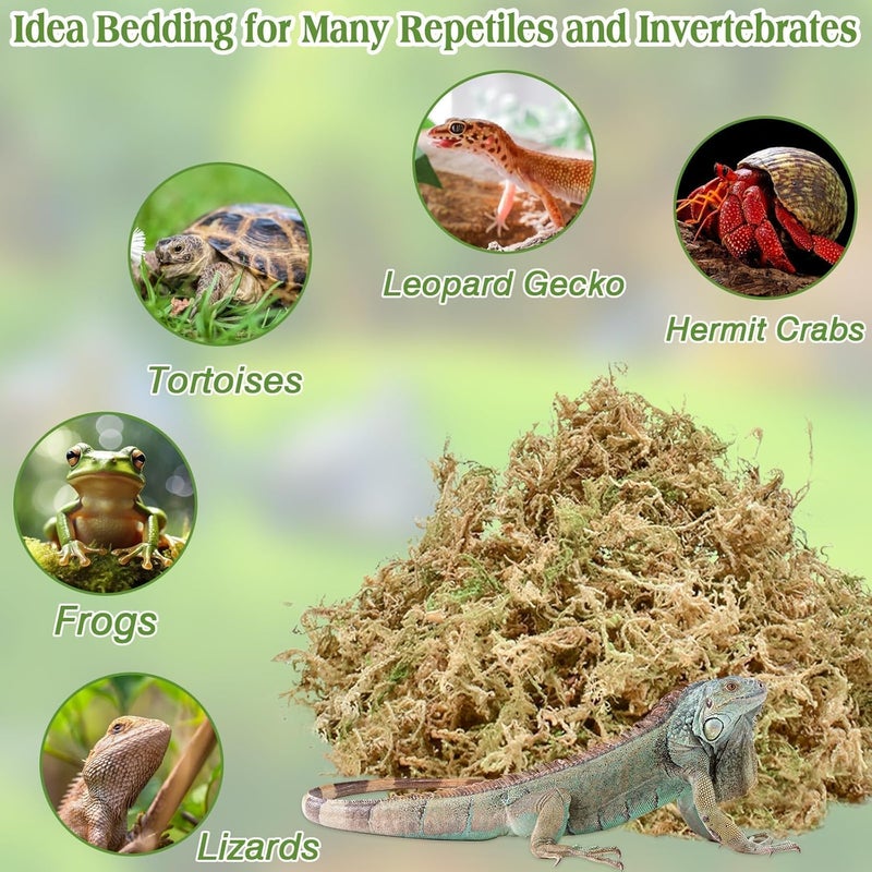 Halatool 1.5LB Natural Sphagnum Moss for Reptiles Premium Reptile Moss Ideal Terrarium Moss for Box Turtles Hermit Crabs Leopard Gecko Snakes and Hamsters Enclosure - Image 3